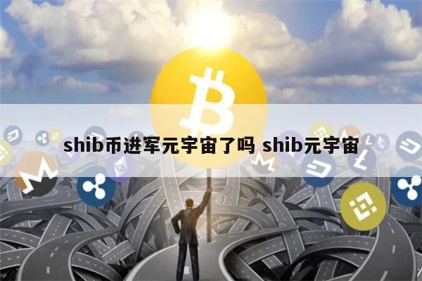 数字币shib-数字币是不是合法