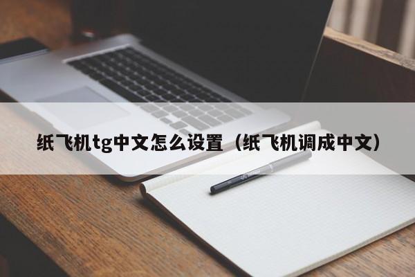 纸飞机设置简体中文怎么设置-纸飞机设置简体中文怎么设置出来