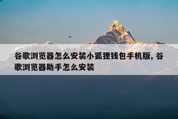 小狐狸钱包闪退怎么办-小狐狸钱包在哪里退出登录