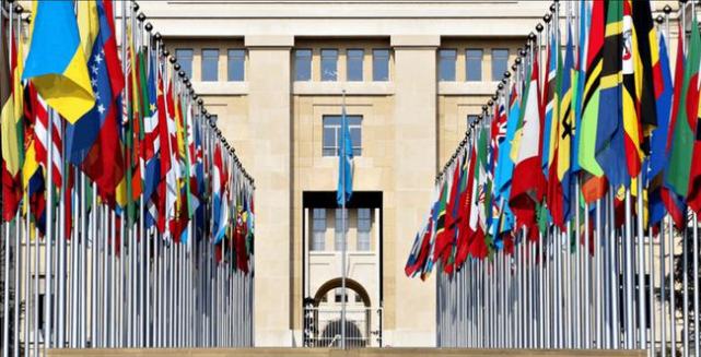 联合国反纳粹决议-联合国反纳粹决议案