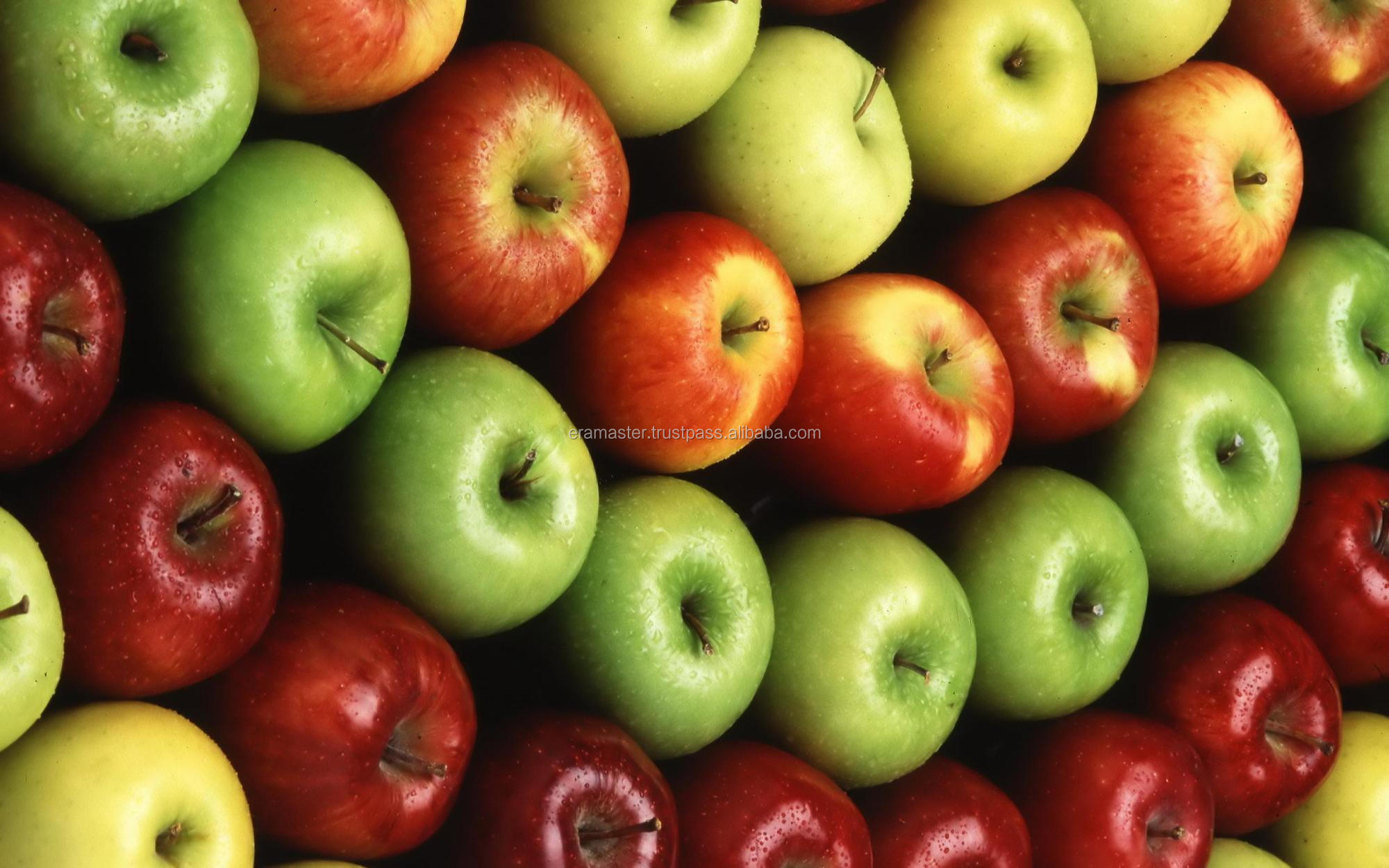 applebite-supportapplecom