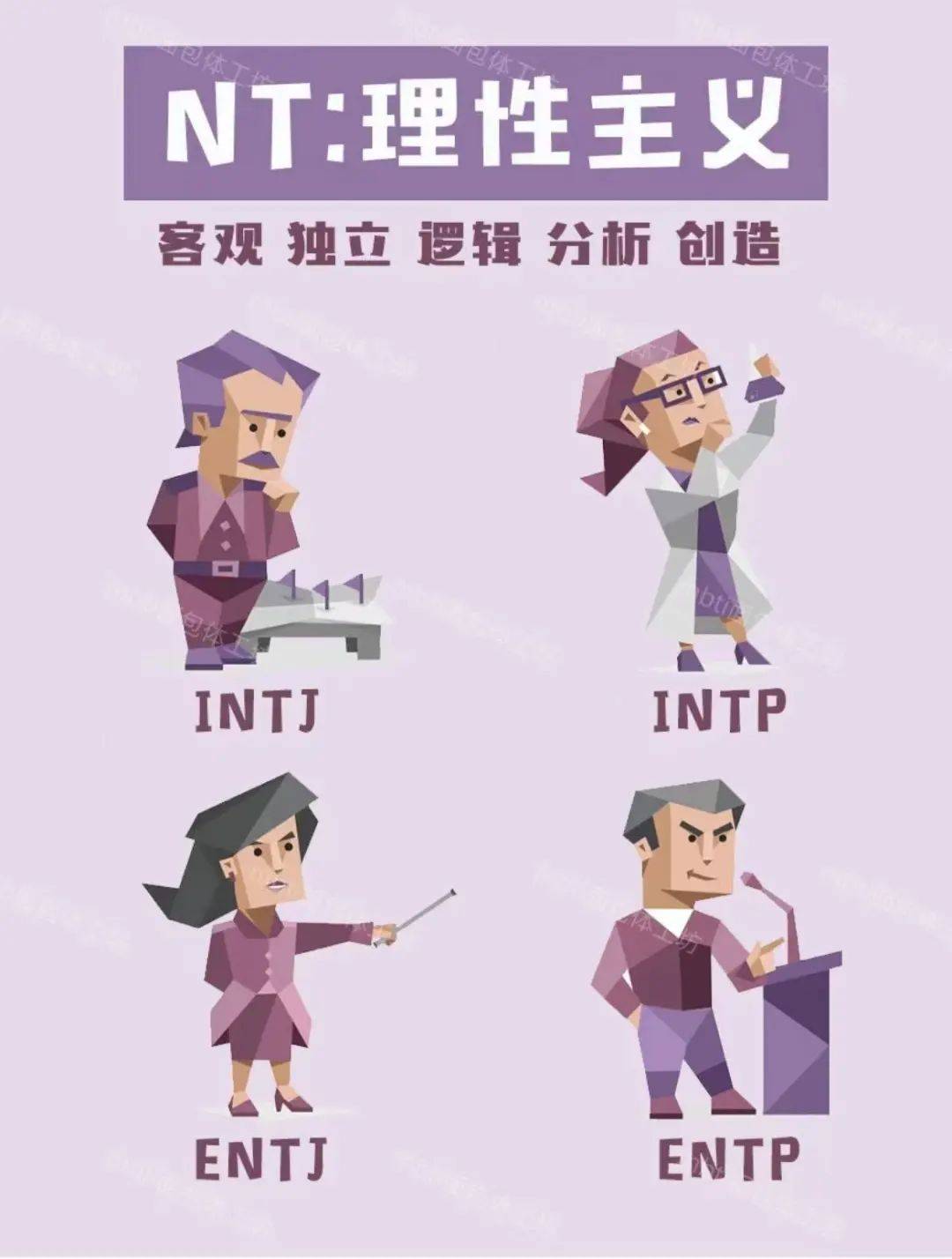 intp官网介绍-intp meme