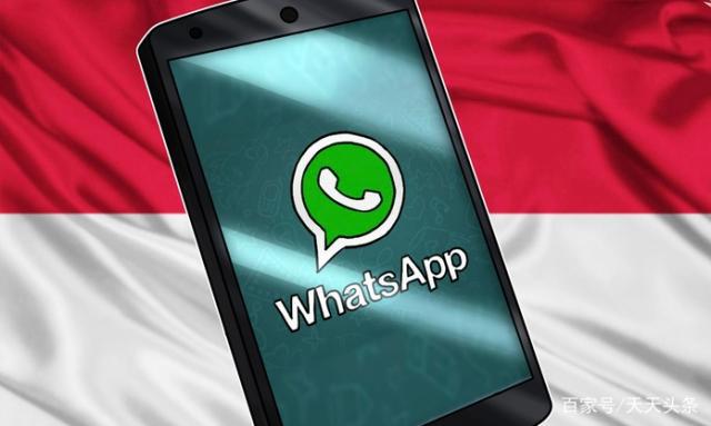 whatsapp安卓版下载安卓版-whatsapp安卓版官方下载2020