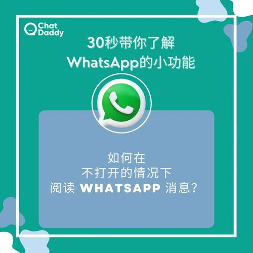 whatsapp下载安装-whatsapp下载安装官方