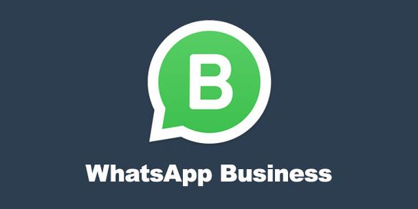 whatsapp下载苹果手机版下载-download whatsapp iphone