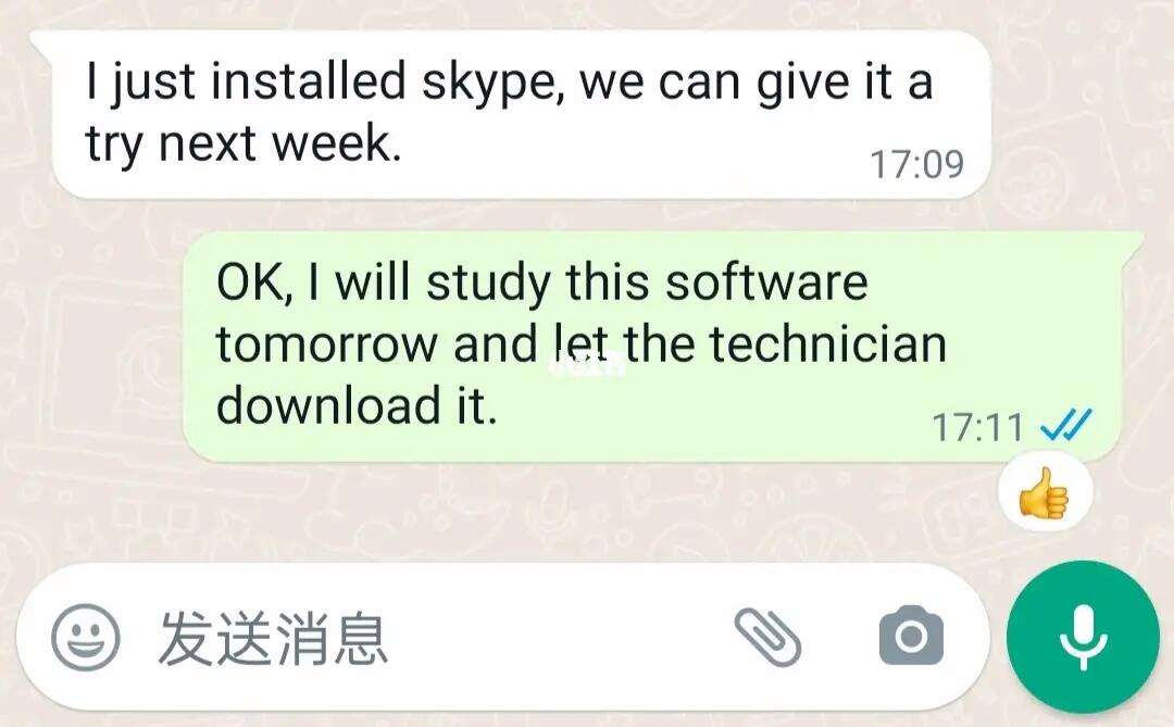 skype英语怎么读-skype用英语怎么说