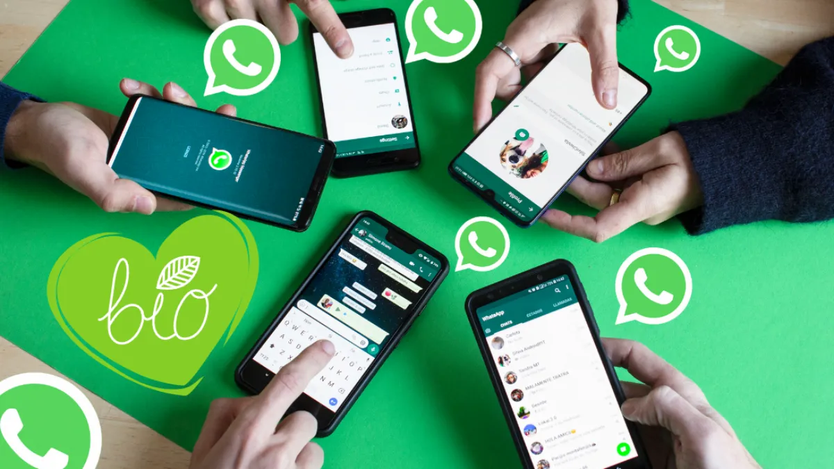 whatsapp官网网站下载-whatsapp官网下载安卓最新版本