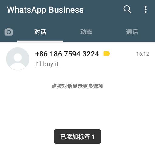 苹果whatsapp下载_苹果whatsapp下载不了