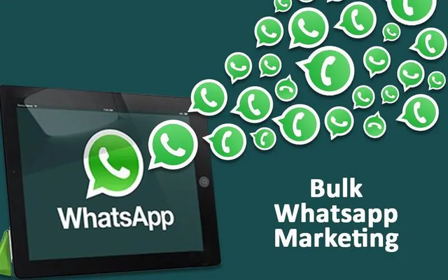 whatsapp下载最新_whatsapp下载最新版安装