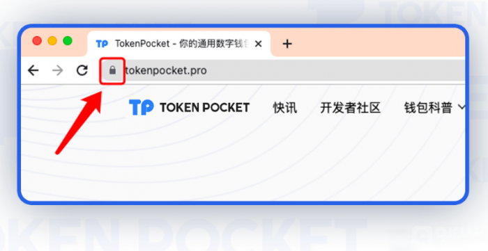 Tokenpocketpro版本_pocketphoto官网应用下载