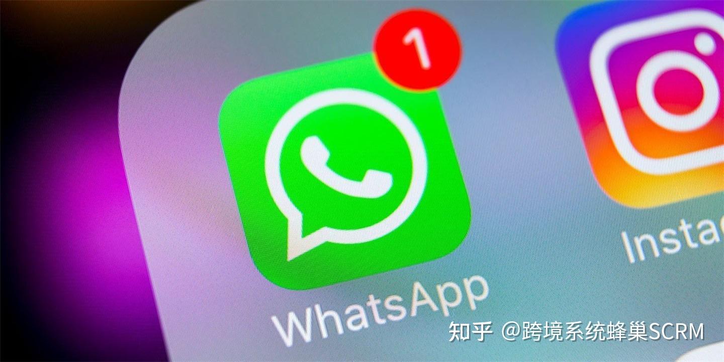 whatsapp汉语怎么读_whatsapp英文怎么翻译成中文