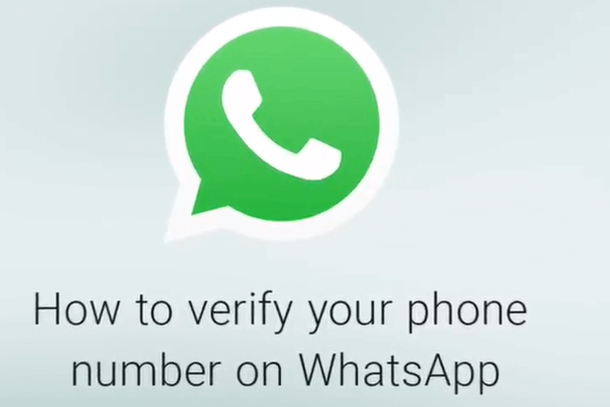 whatsapp下载APK_whatsApp下载脚本之家