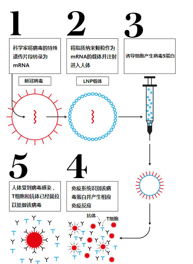 telegraph的用法_telegraph怎么记忆