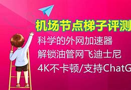 梯子vqn排行_2020年好用的梯子