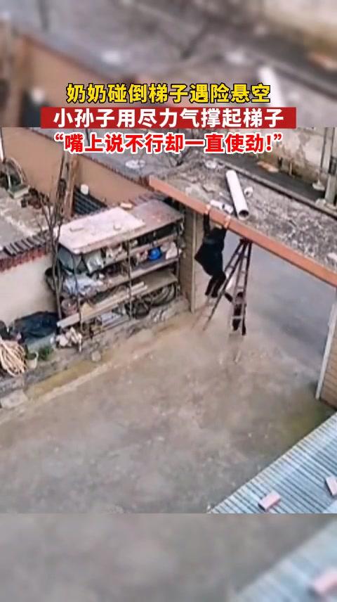 网友说的梯子_网友说的梯子是啥