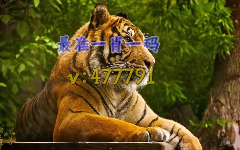 今期六码料最全猜一肖_今期生肖六六来打一数字