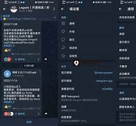 nekogram中文版_nekogramtelegram