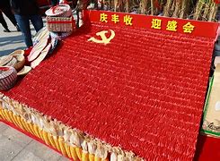 包含钱满仓打一准确动物的词条