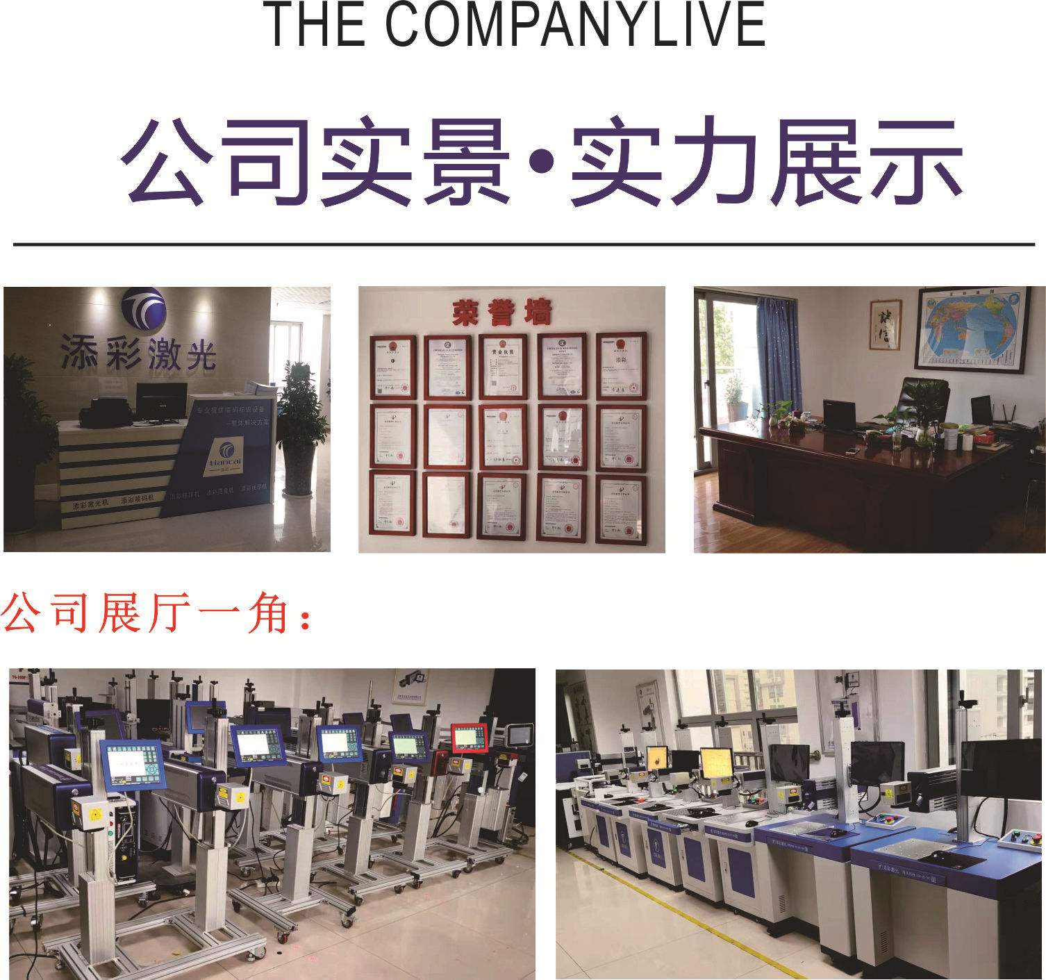 关于tg官网入口网页版的信息