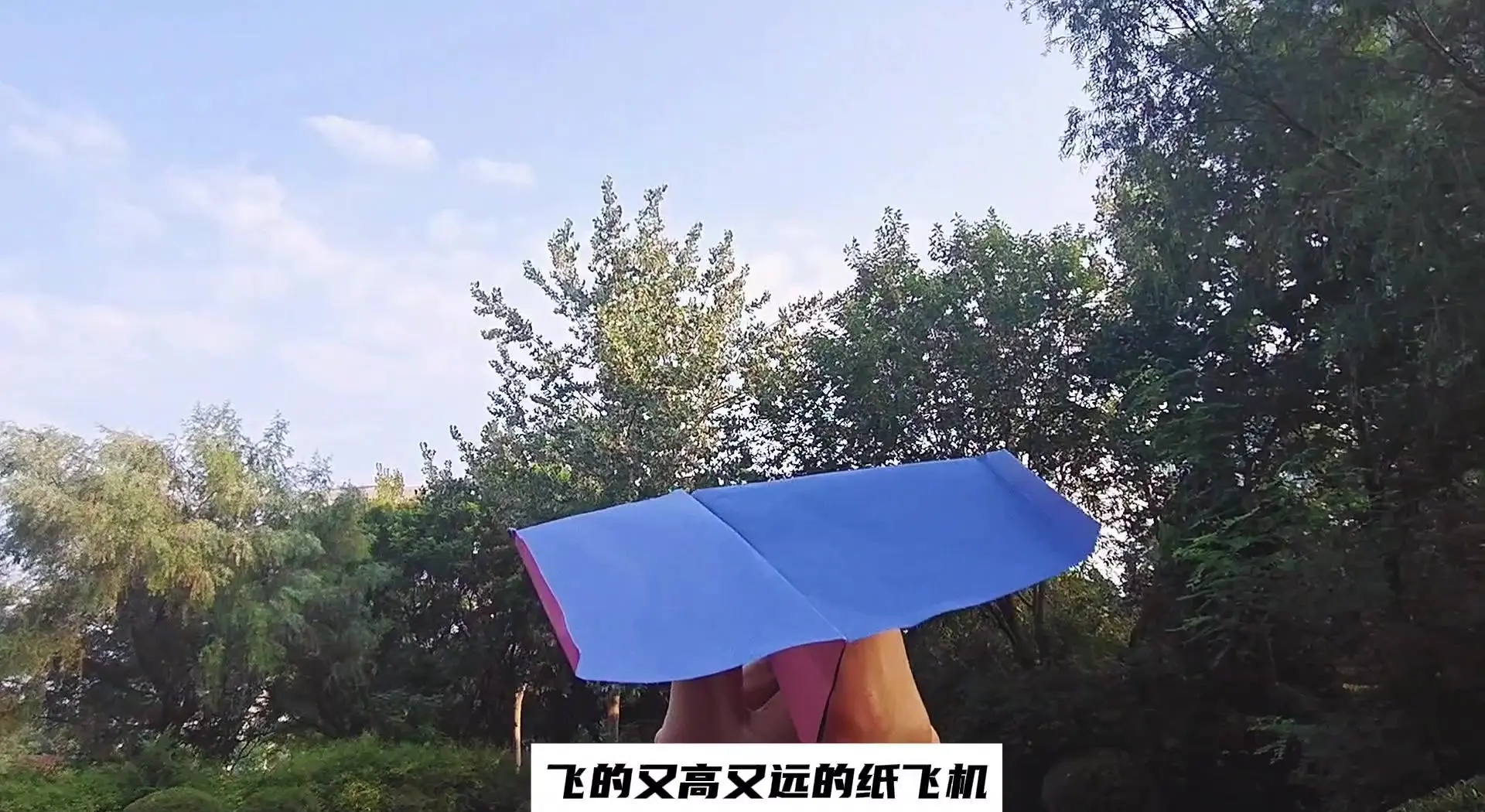 包含纸飞机属于国家打击范围吗的词条