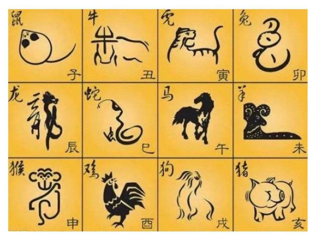 今期六字出玄机最佳准确生肖_今期六字出玄机,特数出此不为奇是什么生肖