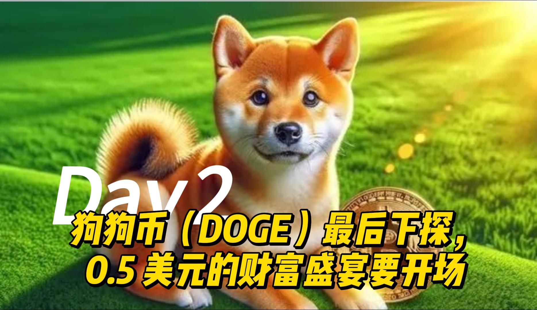 狗狗币100美元_狗狗币最新美元价格非要小号