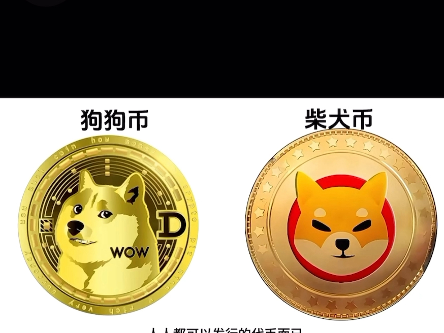狗狗币多少钱一个_狗狗币多少钱一个?