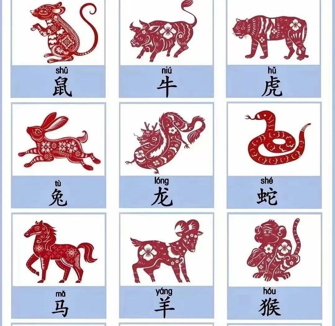 一条一半的生肖_一条一半的生肖是哪个