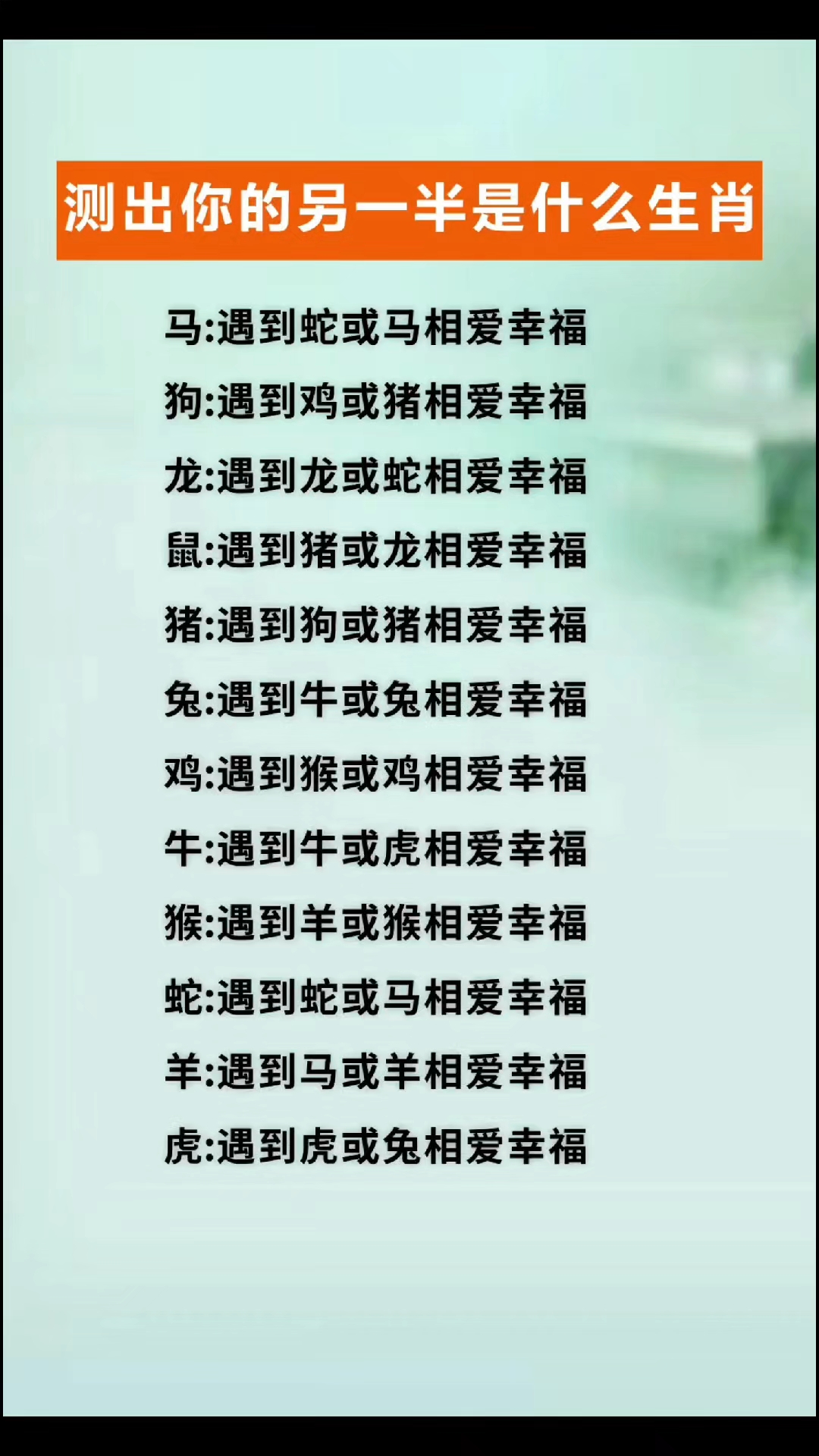 一条一半的生肖_一条一半的生肖是哪个