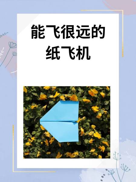 纸飞机怎么用账号添加好友_纸飞机聊天软件怎么添加好友