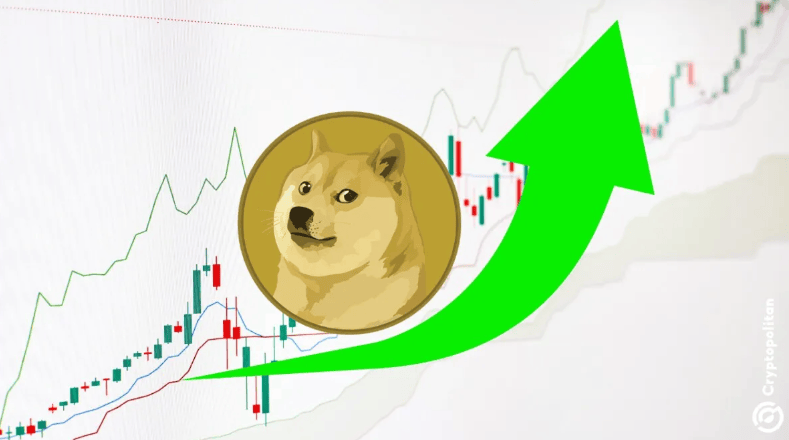 狗狗币的今日价格_十大虚拟币行情最新价格