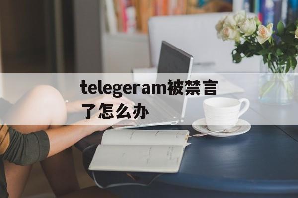 telegeram被禁言了怎么办-telegram spam info bot 禁言